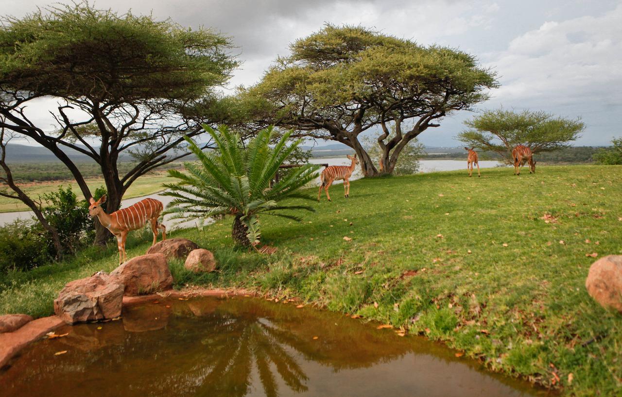 Nkwazi Lake Lodge Pongola Exterior foto